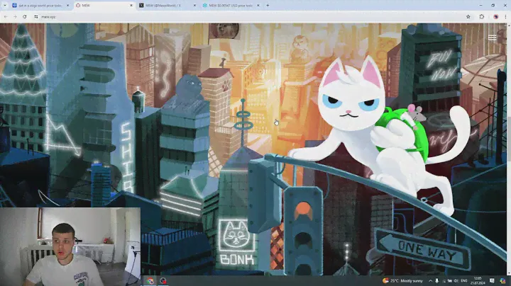MEW - новая Shib в категории cats? Новый мем токен на Solana