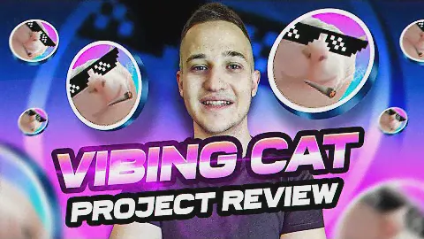 VIBE WITH THE VIBING CAT TOKEN! FULL WALKTHROUGH NOW!